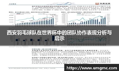 西安羽毛球队在世界杯中的团队协作表现分析与启示