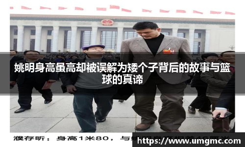 庄闲网站