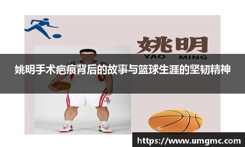 庄闲网站