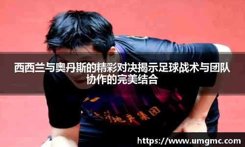 庄闲官网